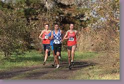 Begles 15.12.13 01 1099 * 679 x 453 * (195KB)